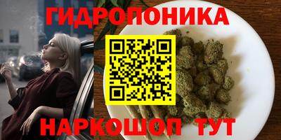 jwh Обь